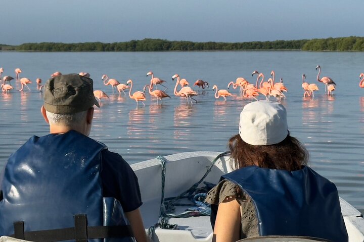Rio Lagartos og Las Coloradas - Flamingo og Crocodile Safari Plus