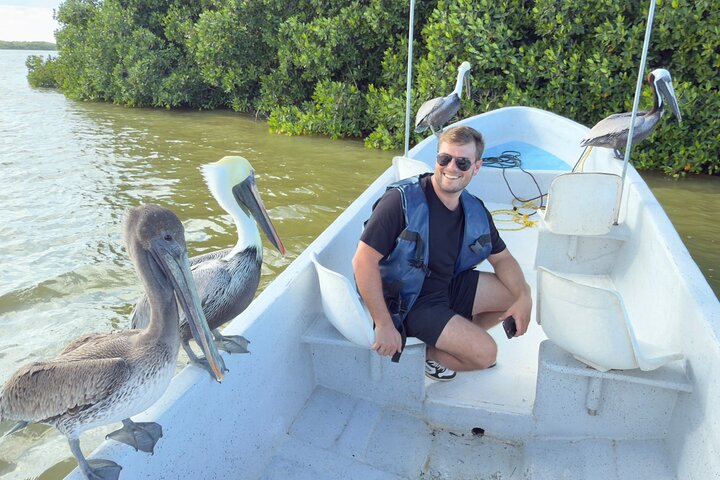 Rio Lagartos og Las Coloradas - Flamingo og Crocodile Safari Plus