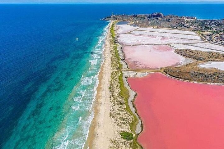 Rio Lagartos og Las Coloradas - Flamingo og Crocodile Safari Plus