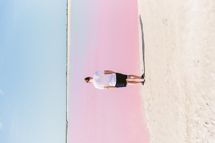 Rio Lagartos og Las Coloradas - Flamingo og Crocodile Safari Plus