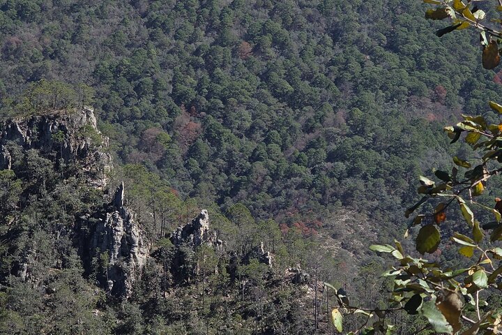 Route zum Wissenschaftswald und Abenteuerpark Peñas Cuatas