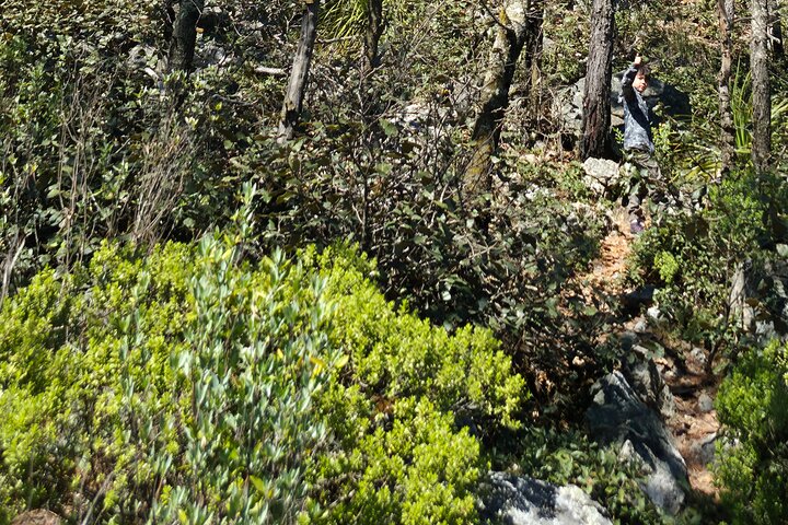 Route zum Wissenschaftswald und Abenteuerpark Peñas Cuatas