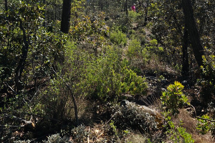 Route zum Wissenschaftswald und Abenteuerpark Peñas Cuatas