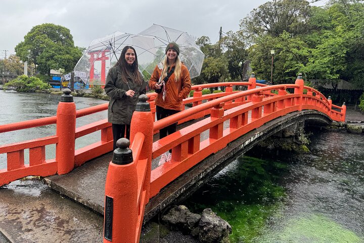 Tour privato del Monte Fuji dal porto di Shimizu | Escursione a terra