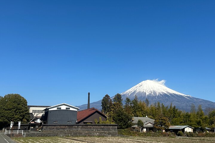Tour privato del Monte Fuji dal porto di Shimizu | Escursione a terra