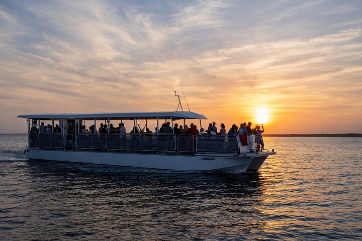 Croisière au coucher du soleil sur les dauphins à Panama City Beach