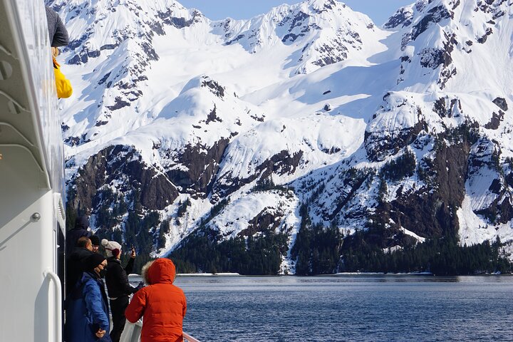 Kenai Fjords und Resurrection Bay – halbtägige Bootstour mit Tierbeobachtung