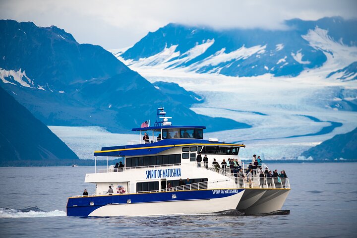 Kenai Fjords und Resurrection Bay – halbtägige Bootstour mit Tierbeobachtung