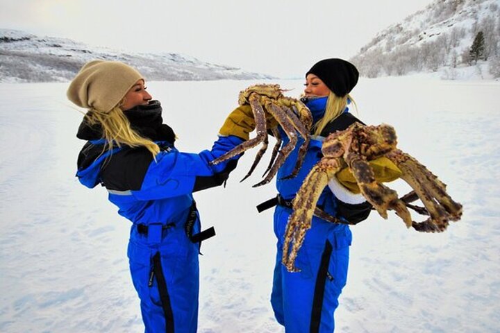 King Crab Safari og besøg et Snowhotel fra Saariselkä