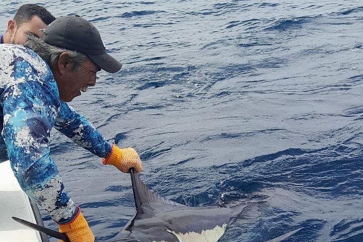 Pêche sportive • Observation des baleines • Boissons et collations