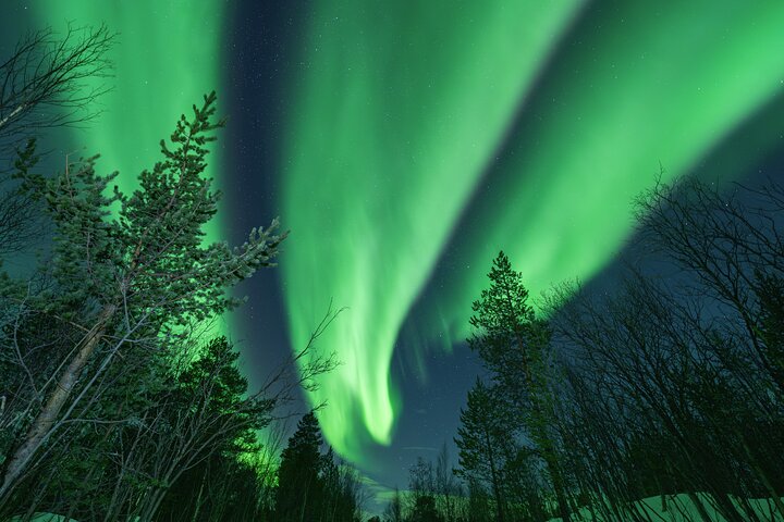 Tromsø: Aventura das luzes do norte com guias Especialistas e fotos