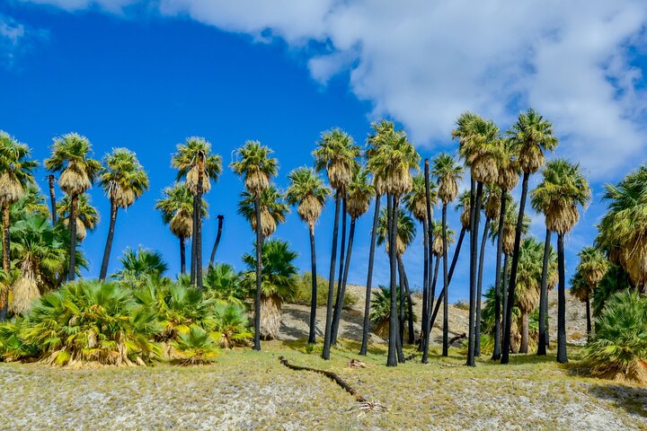 Southern California GPS Audio Bundle (10 ture)