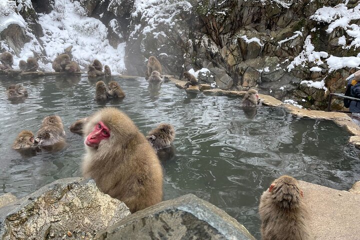 Ontspannen Sneeuwapen & Shibu Onsen : Green Season Privétour