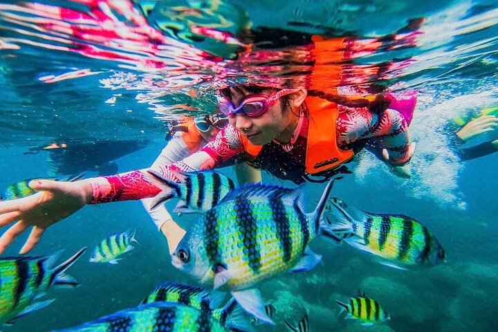 Snorkeltur Koh Tao & Koh Nang Yuan fra Samui med speedbåd