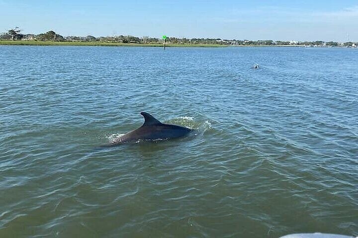 Crucero al atardecer Dolphin Discovery