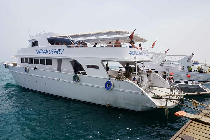 Svømme med delfiner på Samadai Reef Snorkeling fra Marsa Alam