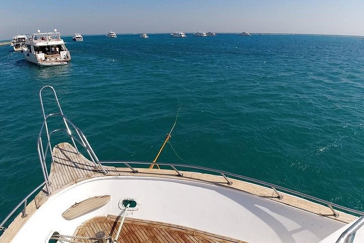 Svømme med delfiner på Samadai Reef Snorkeling fra Marsa Alam
