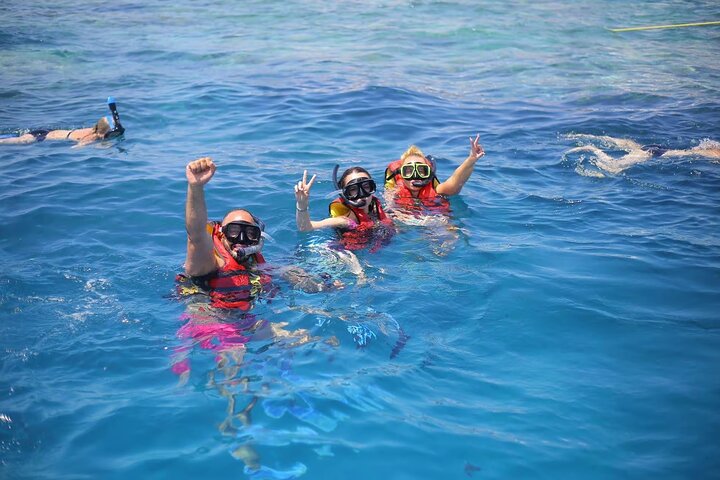 Svømme med delfiner på Samadai Reef Snorkeling fra Marsa Alam