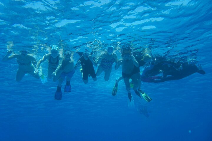Svømme med delfiner på Samadai Reef Snorkeling fra Marsa Alam