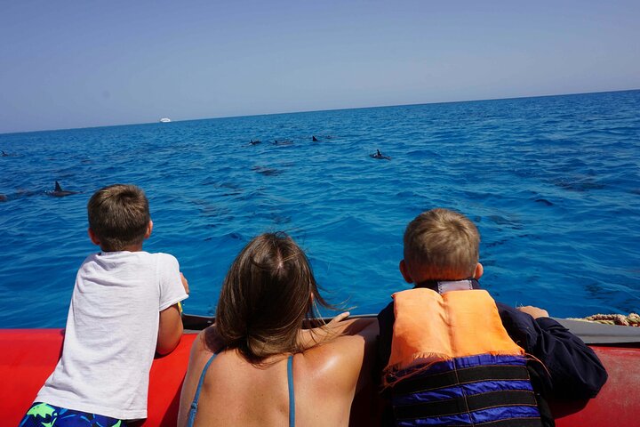 Svømme med delfiner på Samadai Reef Snorkeling fra Marsa Alam