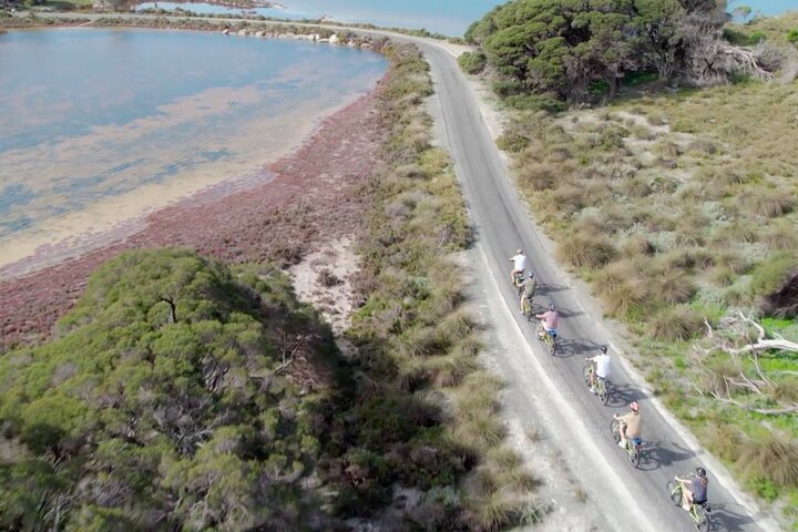 Excursão Pública > Wadjemup Tour Rottnest Island E Bike Adventure