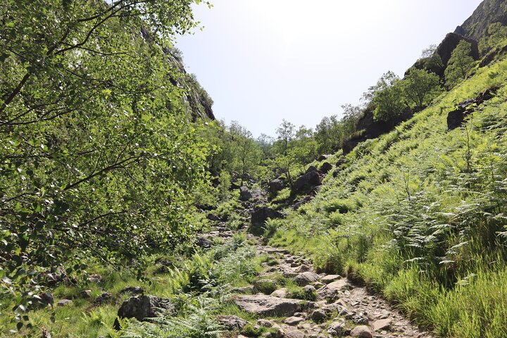 Glencoe : Caminata guiada por el valle oculto