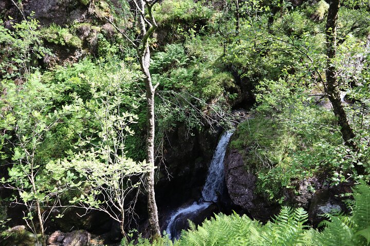 Glencoe : Caminata guiada por el valle oculto