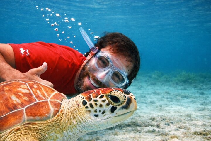 Culebra Snorkel avec Tortues & Flamenco Beach Adventure en Ferry