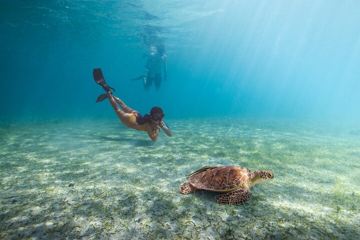 Culebra Snorkel avec Tortues & Flamenco Beach Adventure en Ferry