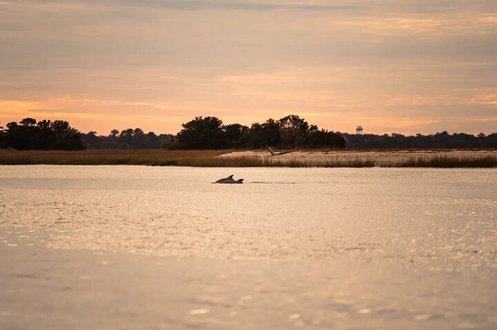Crucero al atardecer Dolphin Discovery
