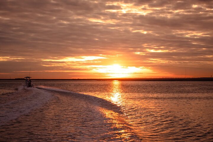 Crucero al atardecer Dolphin Discovery