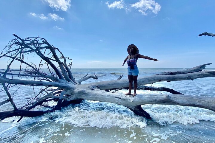Exploración de vida silvestre de Capers Island