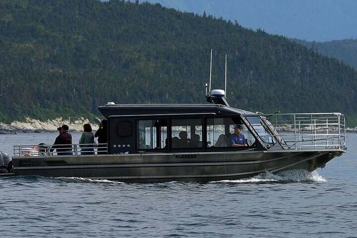 Sitka Walbeobachtung & Wildtier | Am meistgebuchte Tour in Sitka