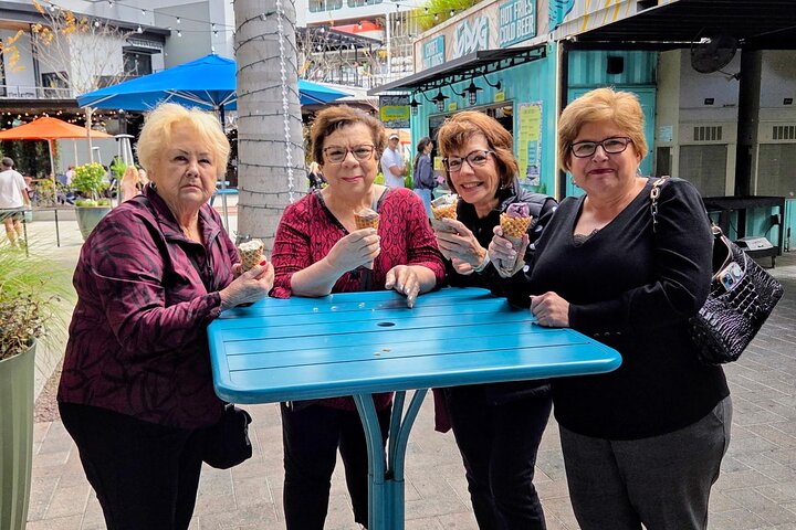 Tour in autobus turistico della città di Tampa per piccoli gruppi