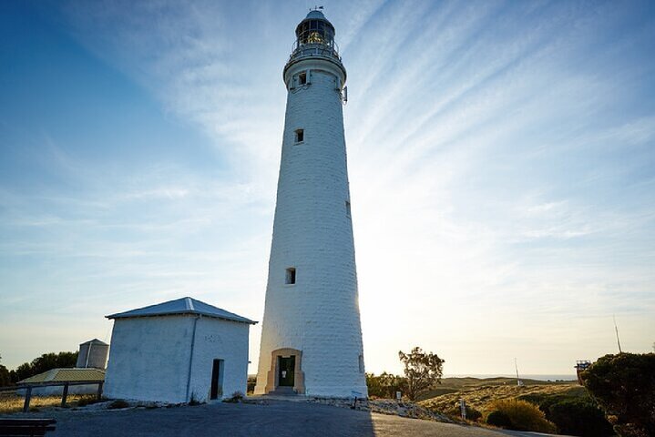 Rottnest Island Grand Tour, incluindo almoço e passeio de trem histórico