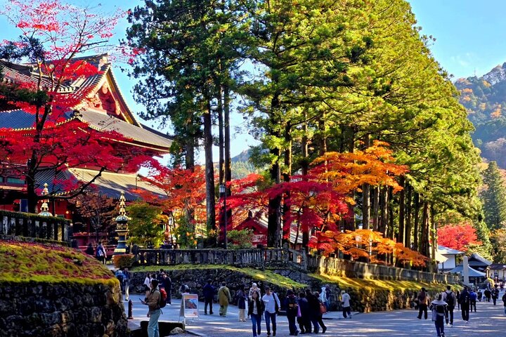 De Tóquio: Passeio de um Dia Guiado aos Sítios Patrimônio Mundial de Nikko