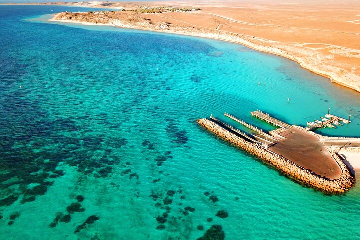 Visite privée à terre : Vol panoramique au-dessus du récif de Ningaloo et transfert