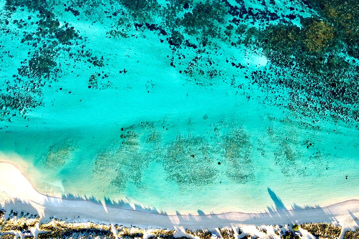 Visite privée à terre : Vol panoramique au-dessus du récif de Ningaloo et transfert