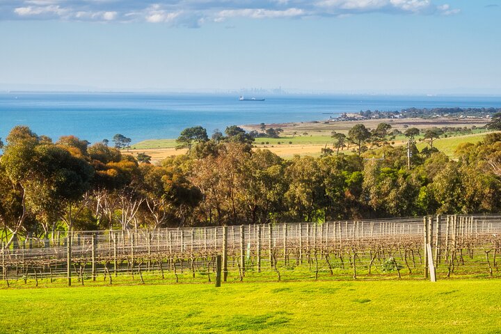 Excursión privada por tierra : Experiencia en vino en la península de Bellarine