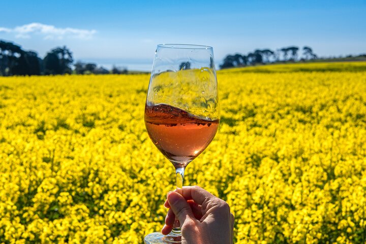 Excursión privada por tierra : Experiencia en vino en la península de Bellarine