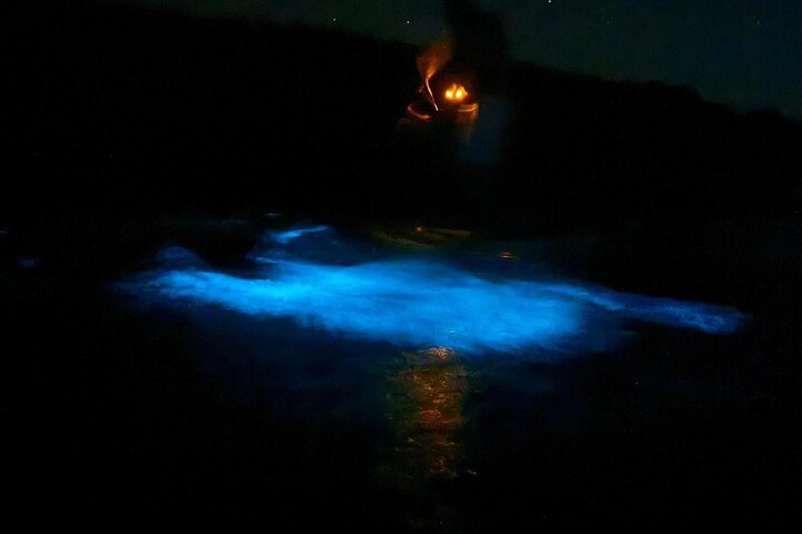 Oförglömlig En Dag Bioluminescent Kajak Äventyr i Vieques