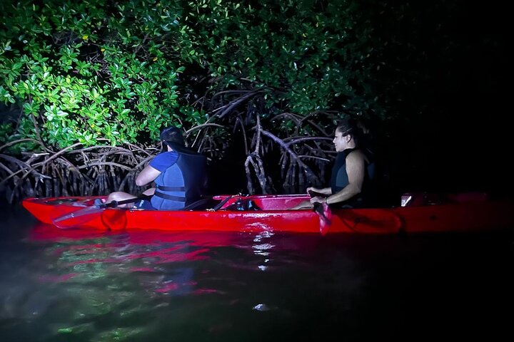 Oförglömlig En Dag Bioluminescent Kajak Äventyr i Vieques