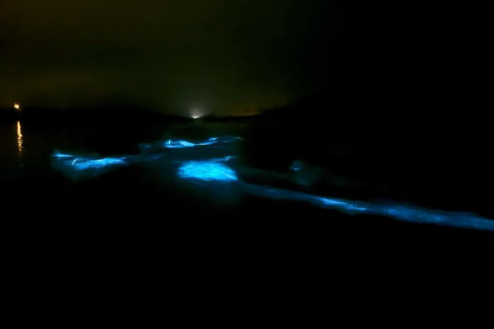 Oförglömlig En Dag Bioluminescent Kajak Äventyr i Vieques