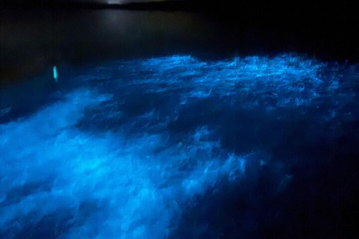 Oförglömlig En Dag Bioluminescent Kajak Äventyr i Vieques