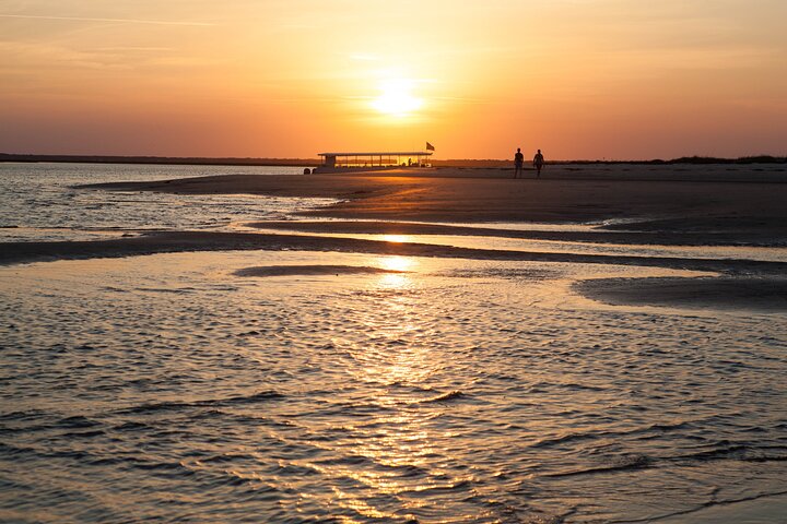 Crucero al atardecer Dolphin Discovery