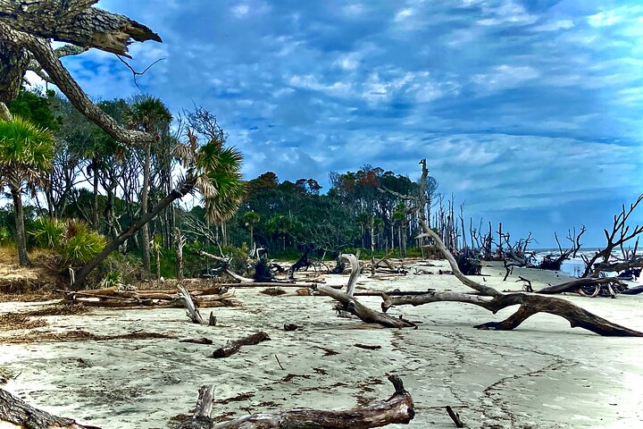 Exploración de vida silvestre de Capers Island