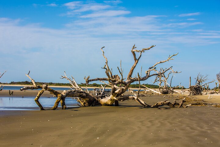 Exploración de vida silvestre de Capers Island