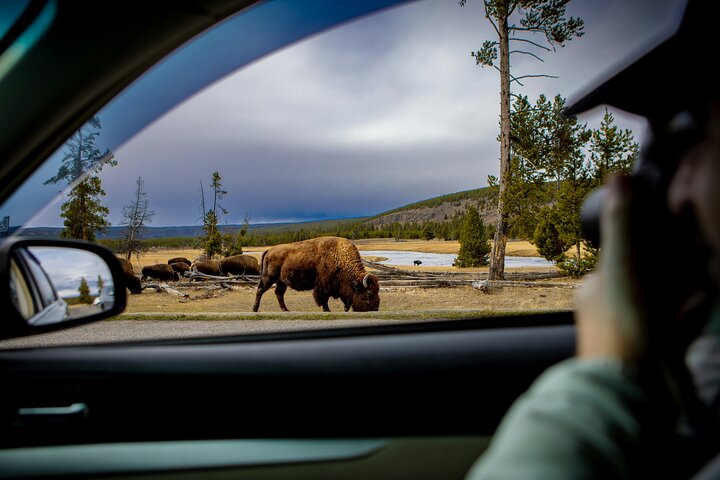 Visita guiada de 3 días a Yellowstone, Grand Teton y Jackson Hole