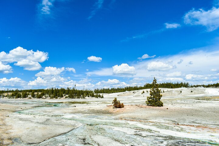 Visita guiada de 3 días a Yellowstone, Grand Teton y Jackson Hole