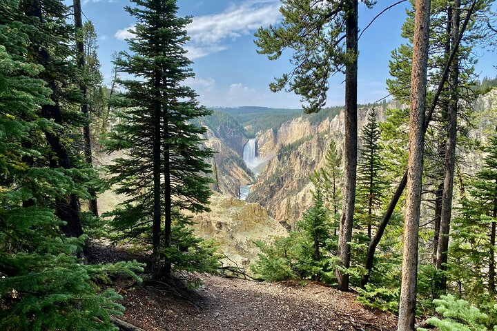 Visita guiada de 3 días a Yellowstone, Grand Teton y Jackson Hole